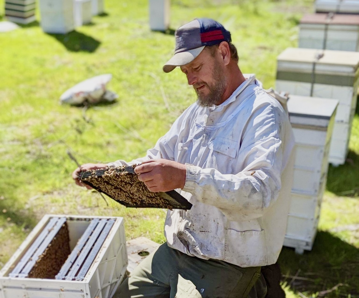 Honey Tasmania