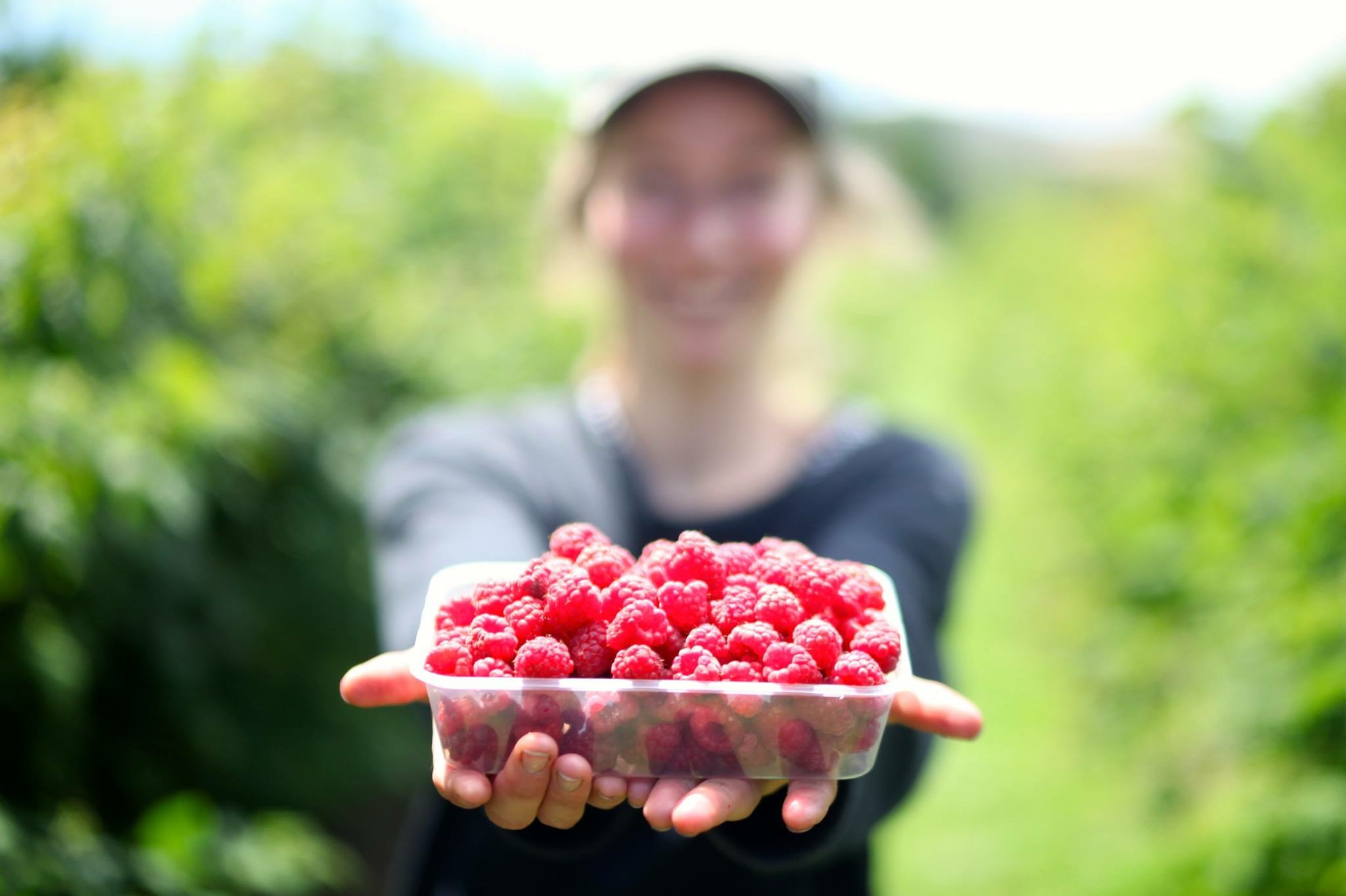Westerway Berry Farm