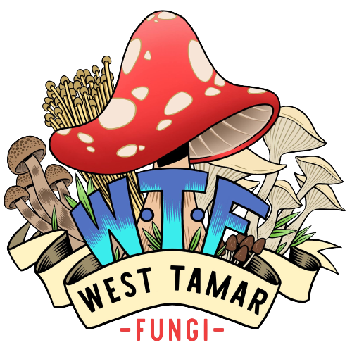 West Tamar Fungi